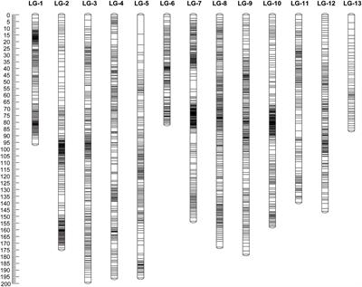 Quantitative Trait Loci Analysis Based on High-Density Mapping of Single-Nucleotide Polymorphisms by Genotyping-by-Sequencing Against Pine Wilt Disease in Japanese Black Pine (Pinus thunbergii)